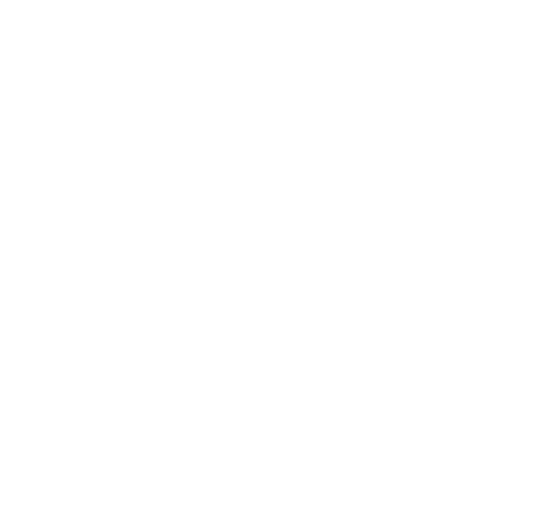 Master-Fence-Logo